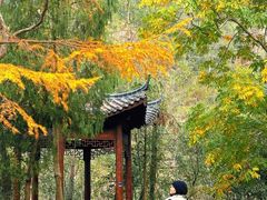 -大慈岩风景区