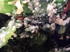 -山东宾馆·齐鲁苑餐厅