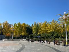 -西清公园