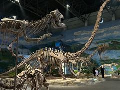 -自贡恐龙博物馆