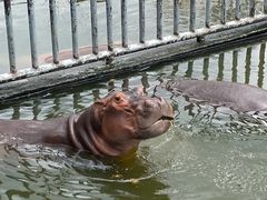 -海南热带野生动植物园