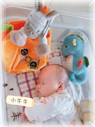 -安琪朵朵独栋花园月子中心