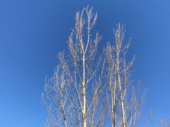 -野鸭湖国家湿地公园