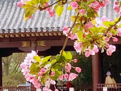 -元大都城垣遗址公园