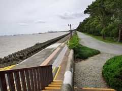 -上海滨江森林公园