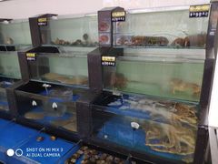 水产区-丹东汇侨希尔顿花园酒店自助餐