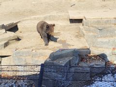 -沈阳森林动物园