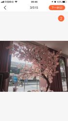 -诗丽华黛美容院