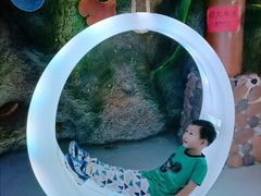 -泉城欧乐堡海洋极地世界