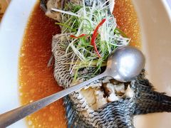 -骏莱海鲜鱼港(五角场店)