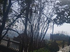 -上海佘山国家森林公园西佘山园