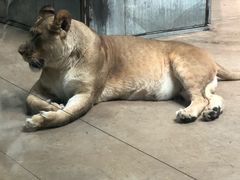 -鄂尔多斯野生动物园