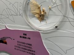 -正佳自然科学博物馆