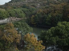 -白马涧龙池景区