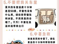-美联众合动物医院·24h转诊中心