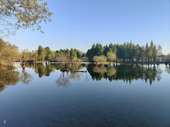 -贡湖湾湿地公园