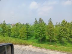 -南汇嘴观海公园