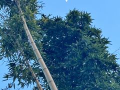 -南山风景名胜区