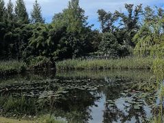 -白鹭湾湿地公园