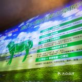 新开的一家313羊庄，一如既往的新鲜，羊肉是冷鲜的