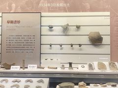 -四川大学博物馆