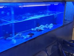 -白仁仔· 活烤海鲜 宵夜(豫园店)