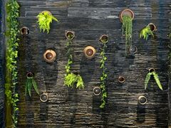 -一只烧鸡公(解放碑店)