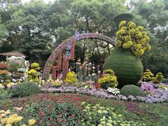 -杭州植物园