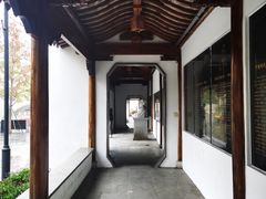 -三林塘老街