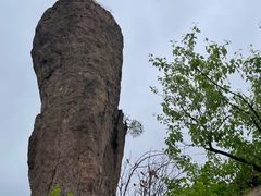 -磬锤峰森林公园