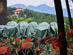 -金水泊山庄·花椒鸡(铁山坪店)