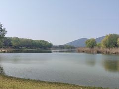 -长广溪湿地公园
