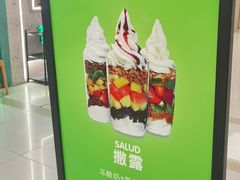 -Salud撒露欧洲冻酸奶(五道口购物中心店)