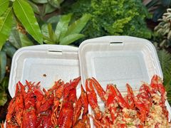 -海岛八号龙虾烧烤田鸡(蓝天路总店)