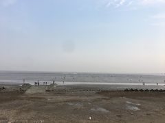 -南汇嘴观海公园