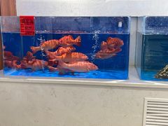 -北塘海鲜·天津菜(大光明桥旗舰店)