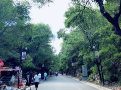 -北山公园