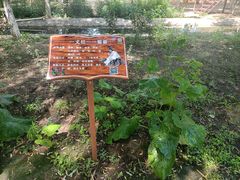 -草根堂农场