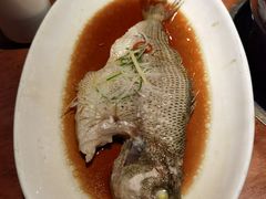 清蒸鲈鱼-黑鸡小馆(金源店)