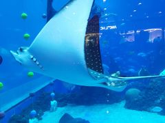 -成都浩海立方海洋公园