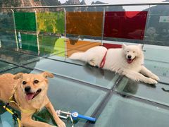 -十渡东湖港风景区