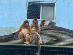 -大连森林动物园