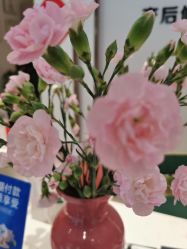 点击看大图 -Dr.林醫生产后修复·配方产康店(南京大厂店)