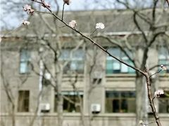 -山东大学(趵突泉校区)
