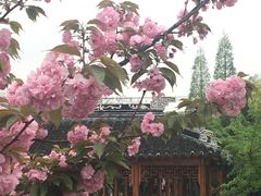 -渭塘酒家(生态园店)