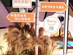 -山水温泉