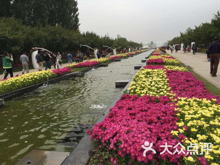 北京國際鮮花港圖片 - 第2張