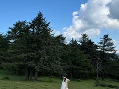 -芦芽山旅游度假区