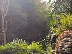 -和顺柏联温泉