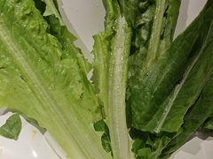 -快乐小羊·内蒙牛羊肉火锅(流花中心店)